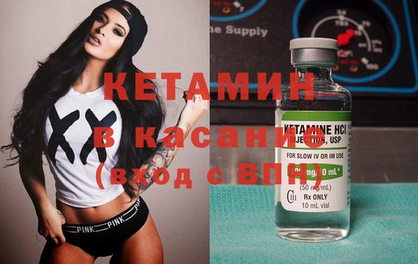 крисы Ельня