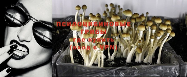 стаф Куйбышев