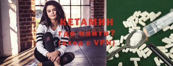 крисы Инта