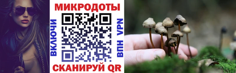 Псилоцибиновые грибы мицелий  Вилючинск 